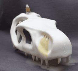 Dragon Skull Incense Burner 3d model