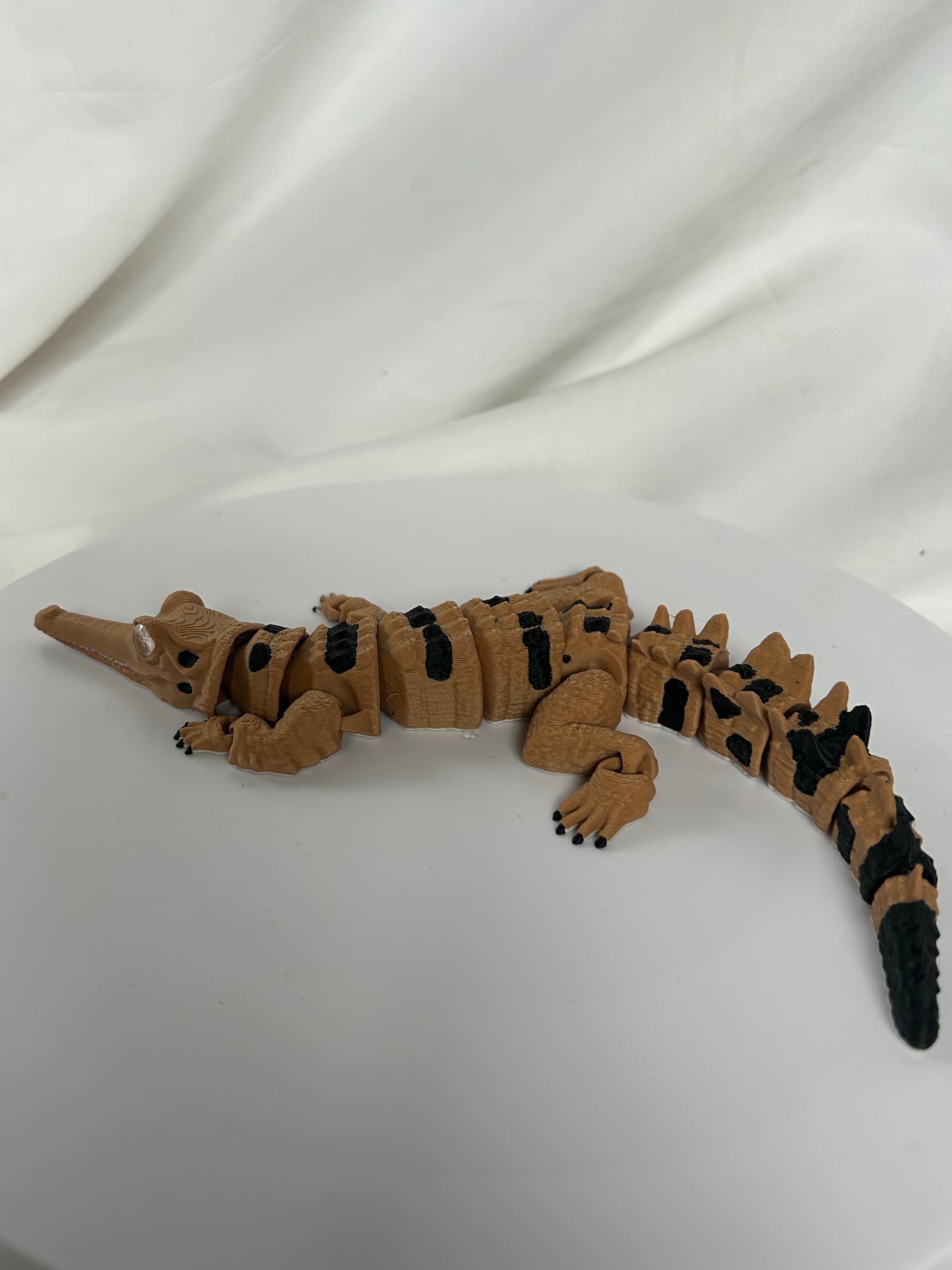 I used to rear crocodiles in South Africa- whilst this is not a croc you find in Africa, it still is a wonderful reptile