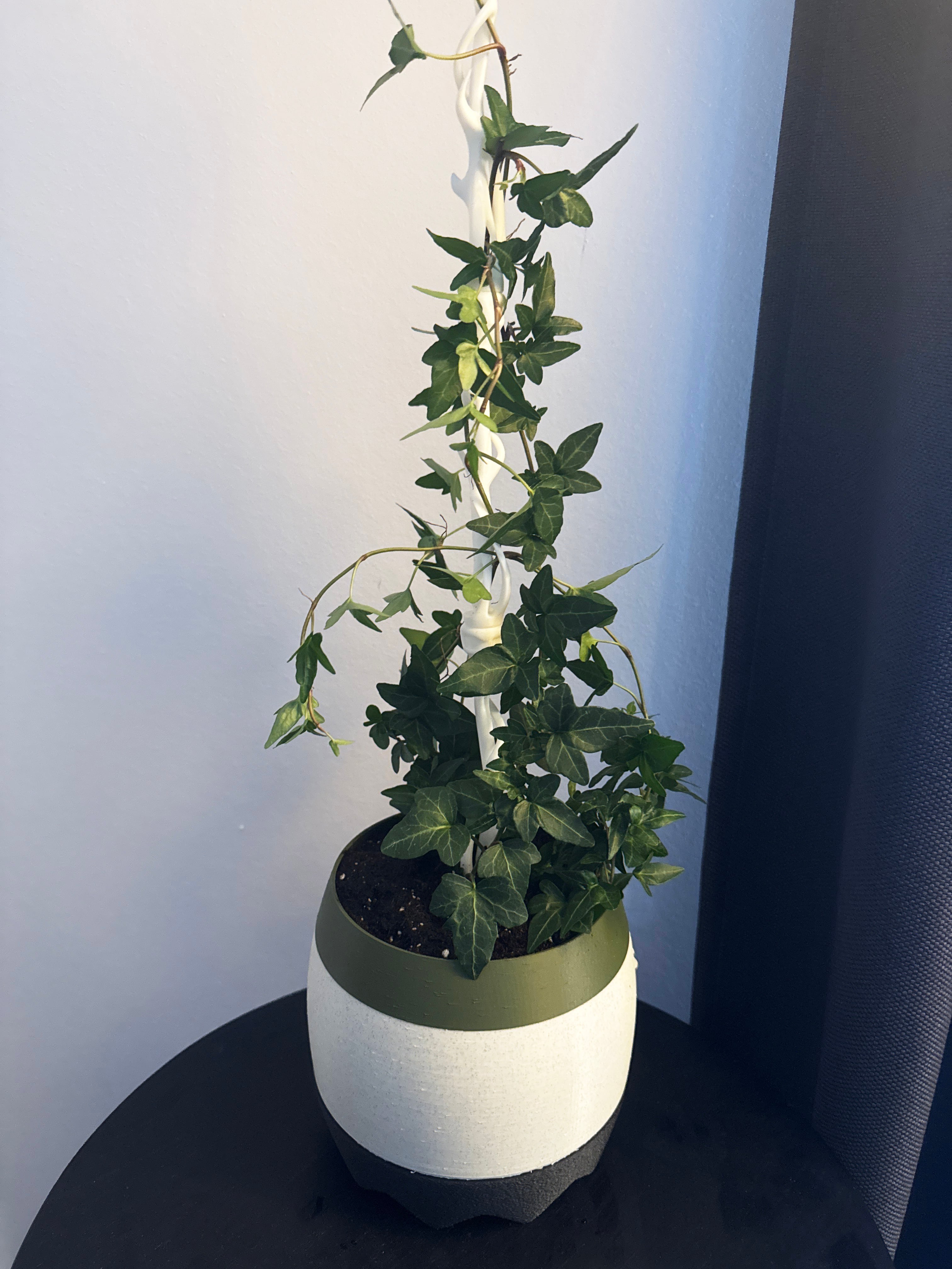 Modular climbing moss pole and plant support 3d model