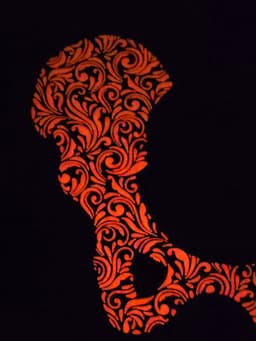 Damask Skeleton Bones 3d model