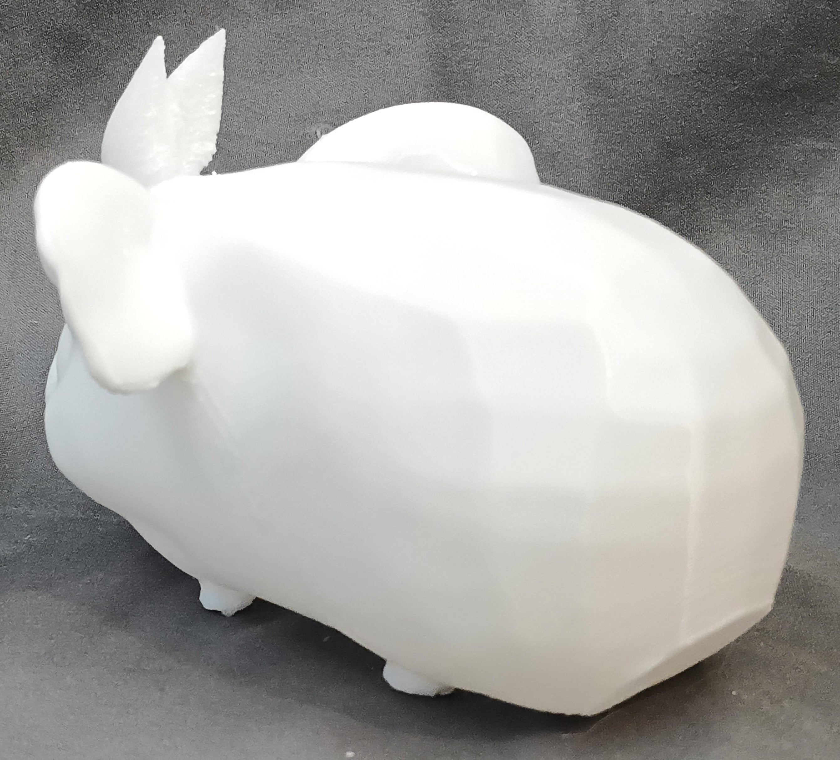 Guinea Pig Paint Your Own Model 3d model