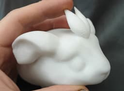 Guinea Pig Paint Your Own Model 3d model