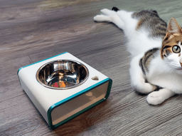 Cat & Dog Food Bowl Raiser Stand Ø 3d model