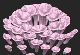 Oyster Mushroom Designer Pack 3d model