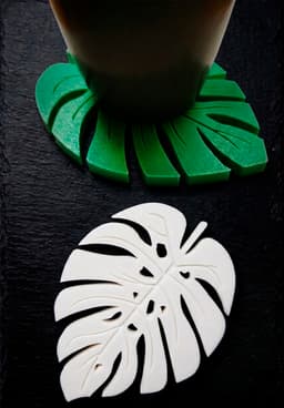 Monstera Leaf Coaster Set 3d model
