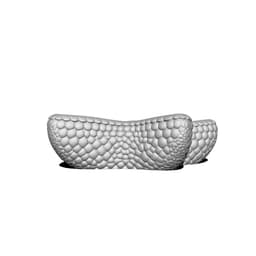 Seashell collection 3d model