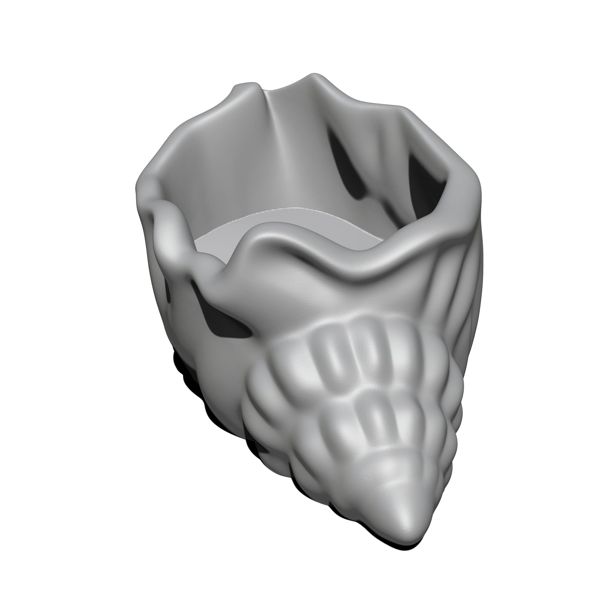 Seashell collection 3d model
