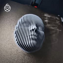 Quantum Face 3d model