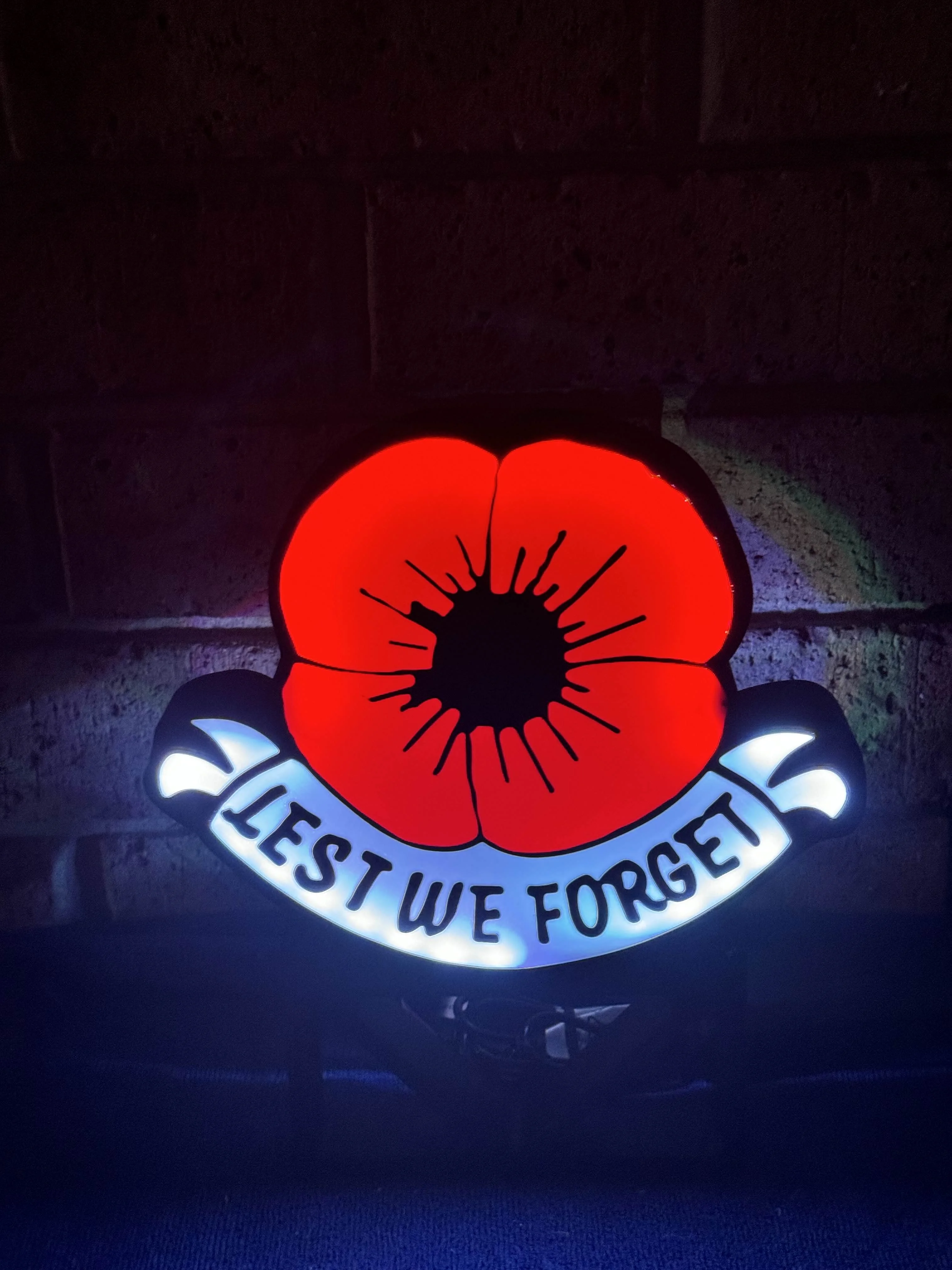 Poppy Light Box 3d model