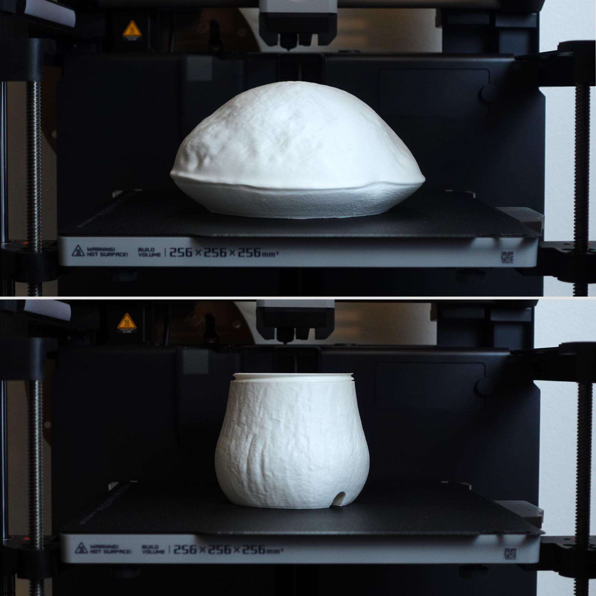 Table lamp “Edulis Fungus” organic 3d model