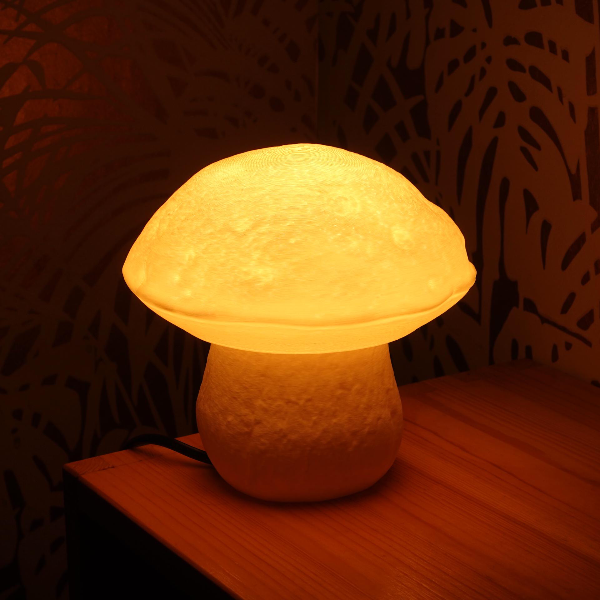 Table lamp “Edulis Fungus” organic 3d model