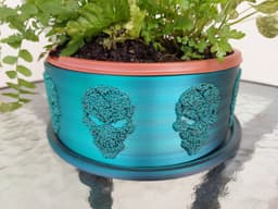 Fuzzy Skull Planter Set 3d model