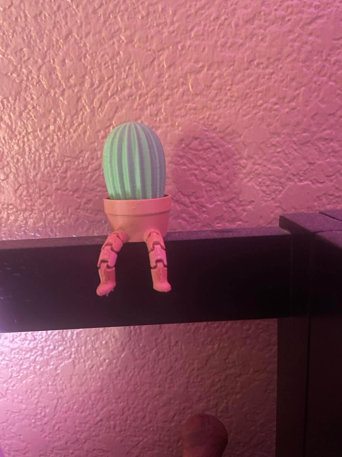 Cactus Pal - Made him 50% smaller. Super fragile now, but very cute. - 3d model