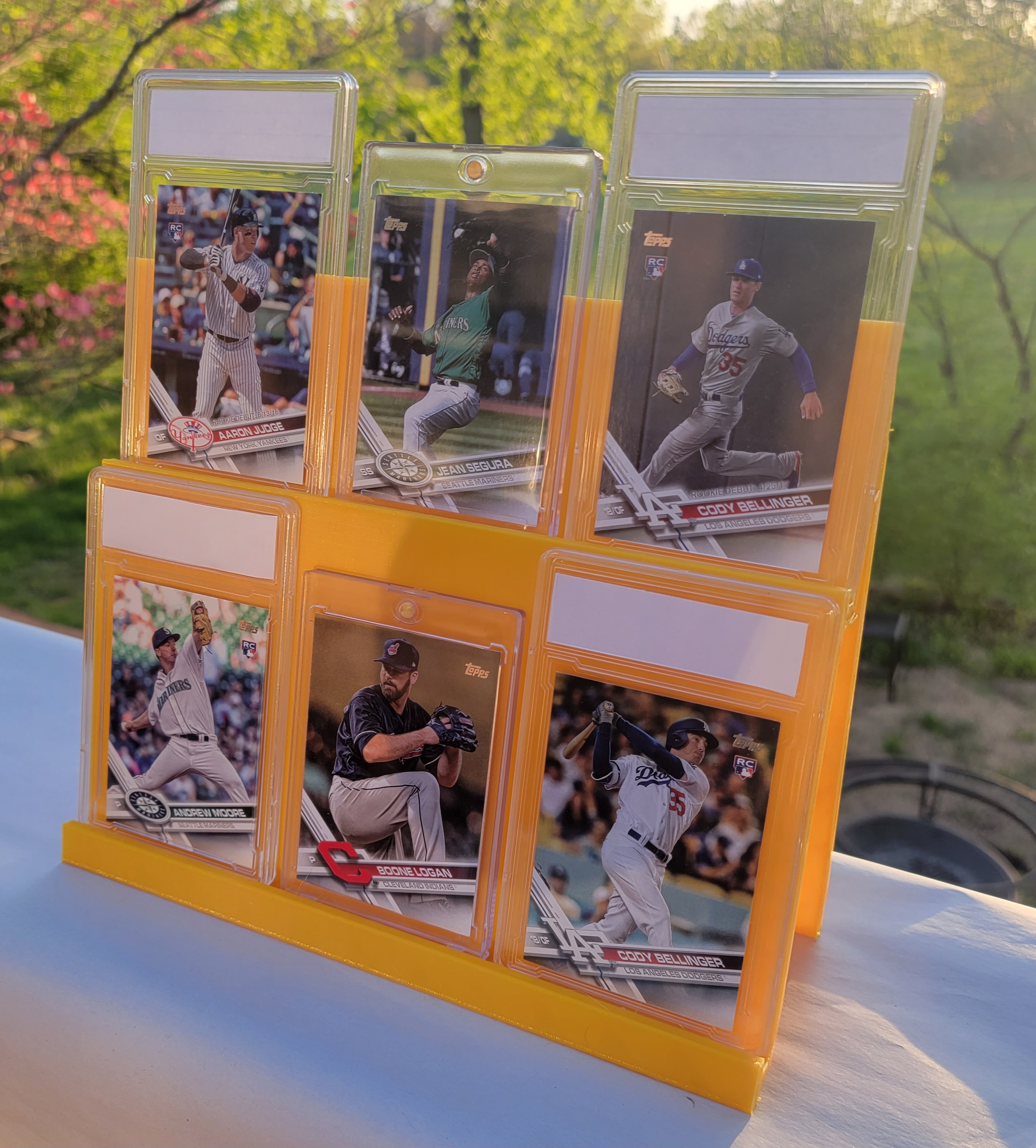 Pokemon / Sports / Trading Card Display Shelf 3d model