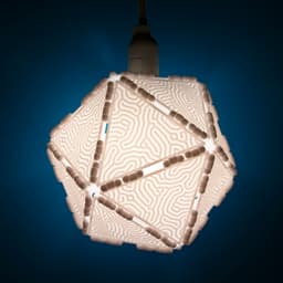 Polypanels // Coral Lithophane (Reaction Diffusion Luminaire) 3d model
