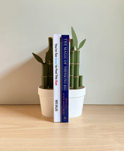 Bambooks, bookends with bookmarks. 3d model
