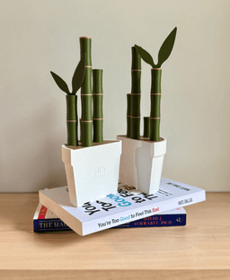 Bambooks, bookends with bookmarks. 3d model