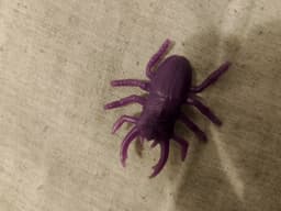 Beetle Toys 3d model