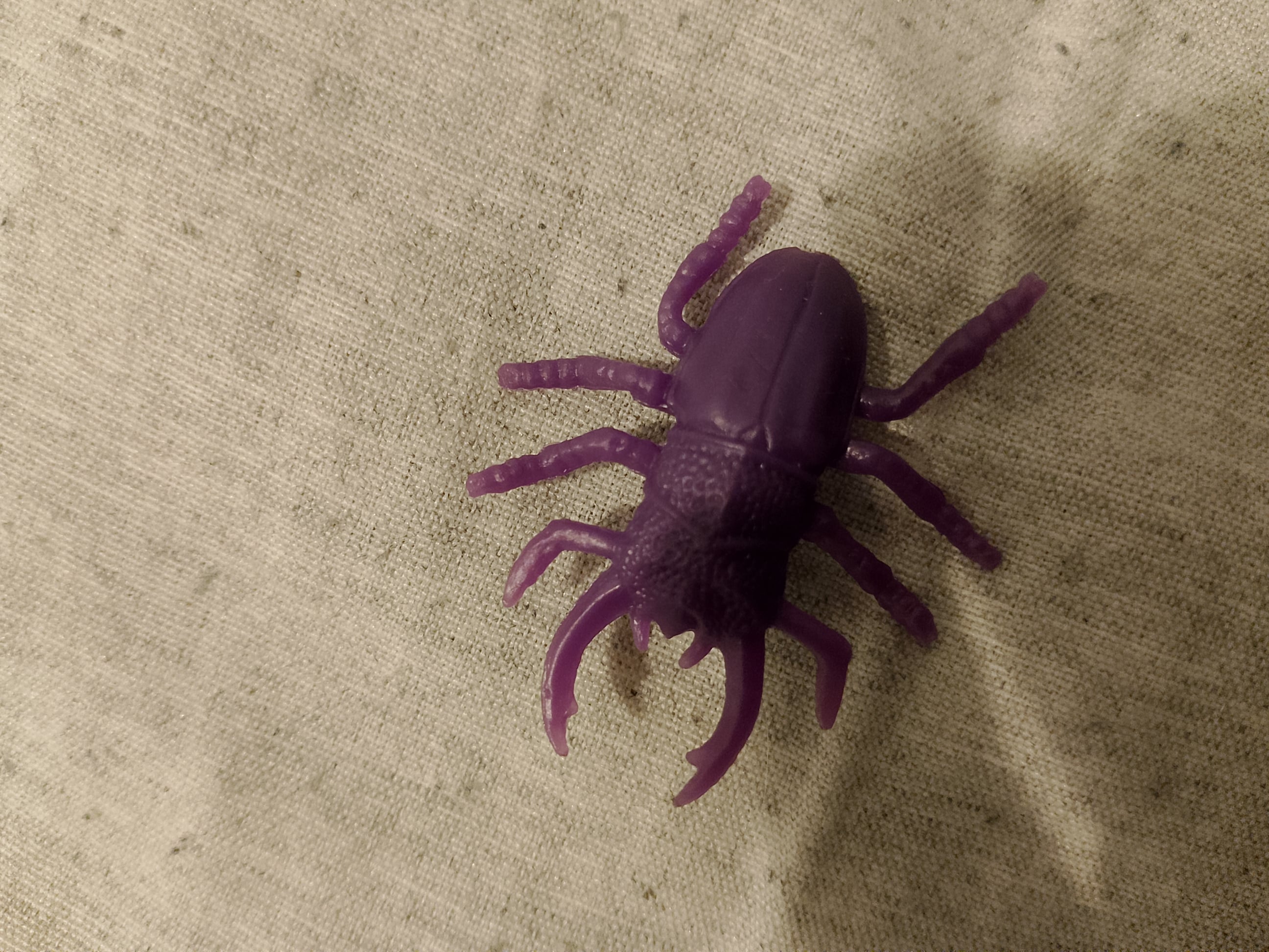 Beetle Toys 3d model