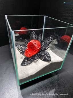 Betta Fish Flower Cave | Unique Fish Tank Design Playground | Functional Aquarium Voronoi Decoration 3d model