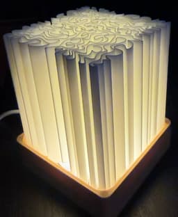 Labirynth Lamp 3d model