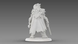 Woven Warrior 3d model