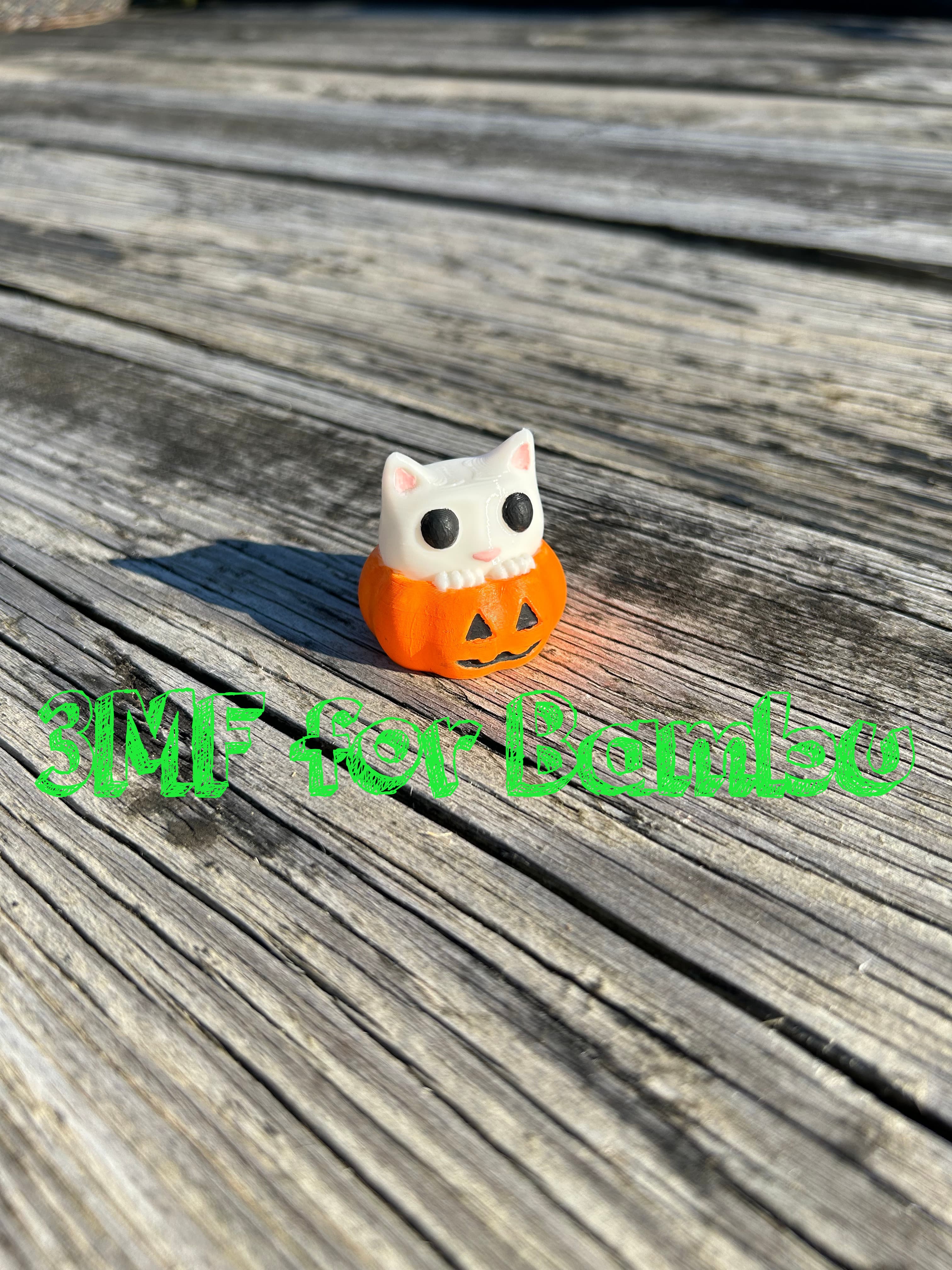 Cat Sitting in Pumpkin ams 3d model