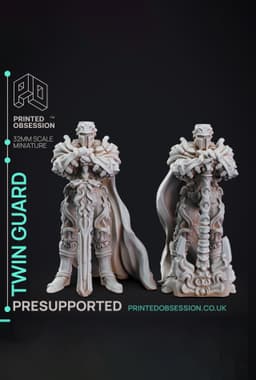 Twin Guard - The Mists of Change - PRESUPPORTED - Illustrated and Stats - 32mm scale 3d model