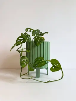 Plant Pot - Ripple L 3d model