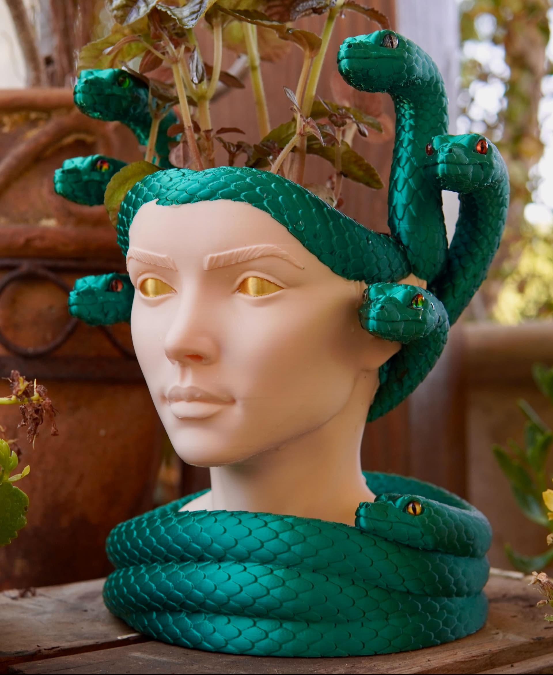 Medusa Planter 3d model