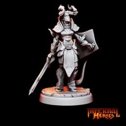 Arwin Silverhand - Tiefling Paladin 3d model