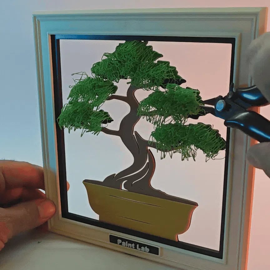 Bonsai Tree 3d model