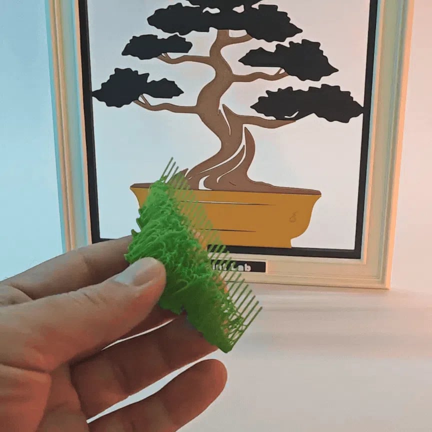 Bonsai Tree 3d model