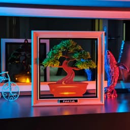 Bonsai Tree 3d model