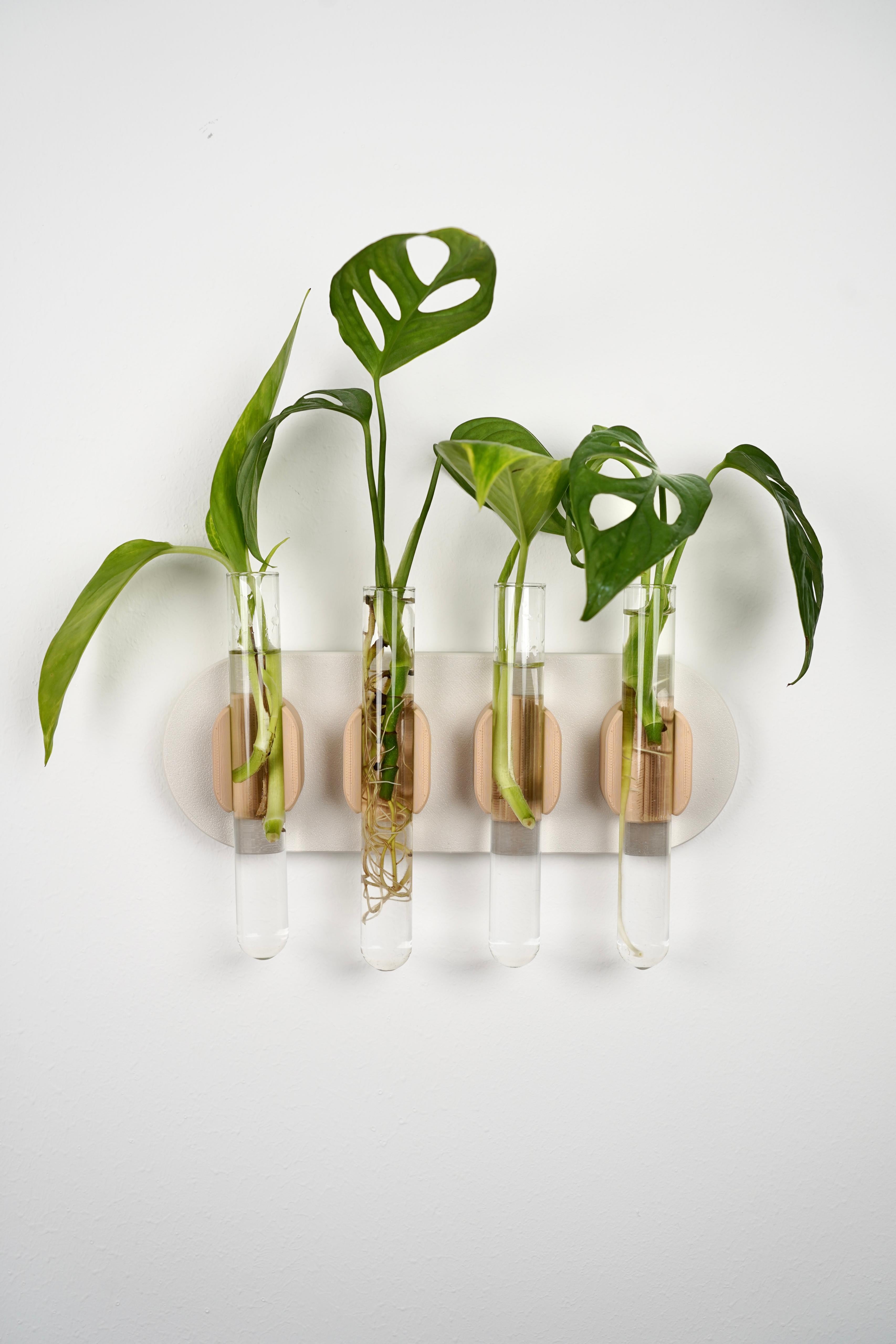 MONSTIA MINIMALIS - wall propagation tubes holder 3d model