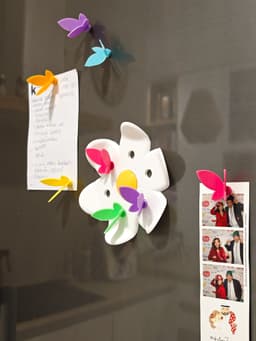 Butterfly magnets 3d model