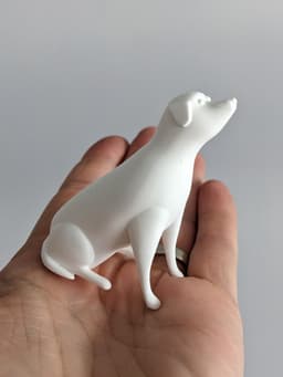 Scout - The Kwerkshop Dog 3d model