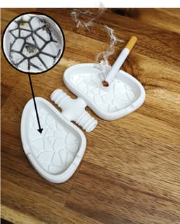 Ashtray Lungs - Motivational Ashtray 3d model