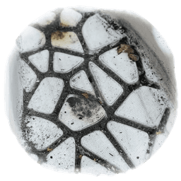 Ashtray Lungs - Motivational Ashtray 3d model