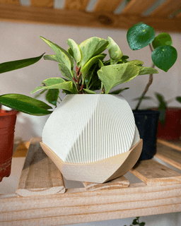 Sofia Planter Pot - Vases & Planters By Lunfardo 3d model