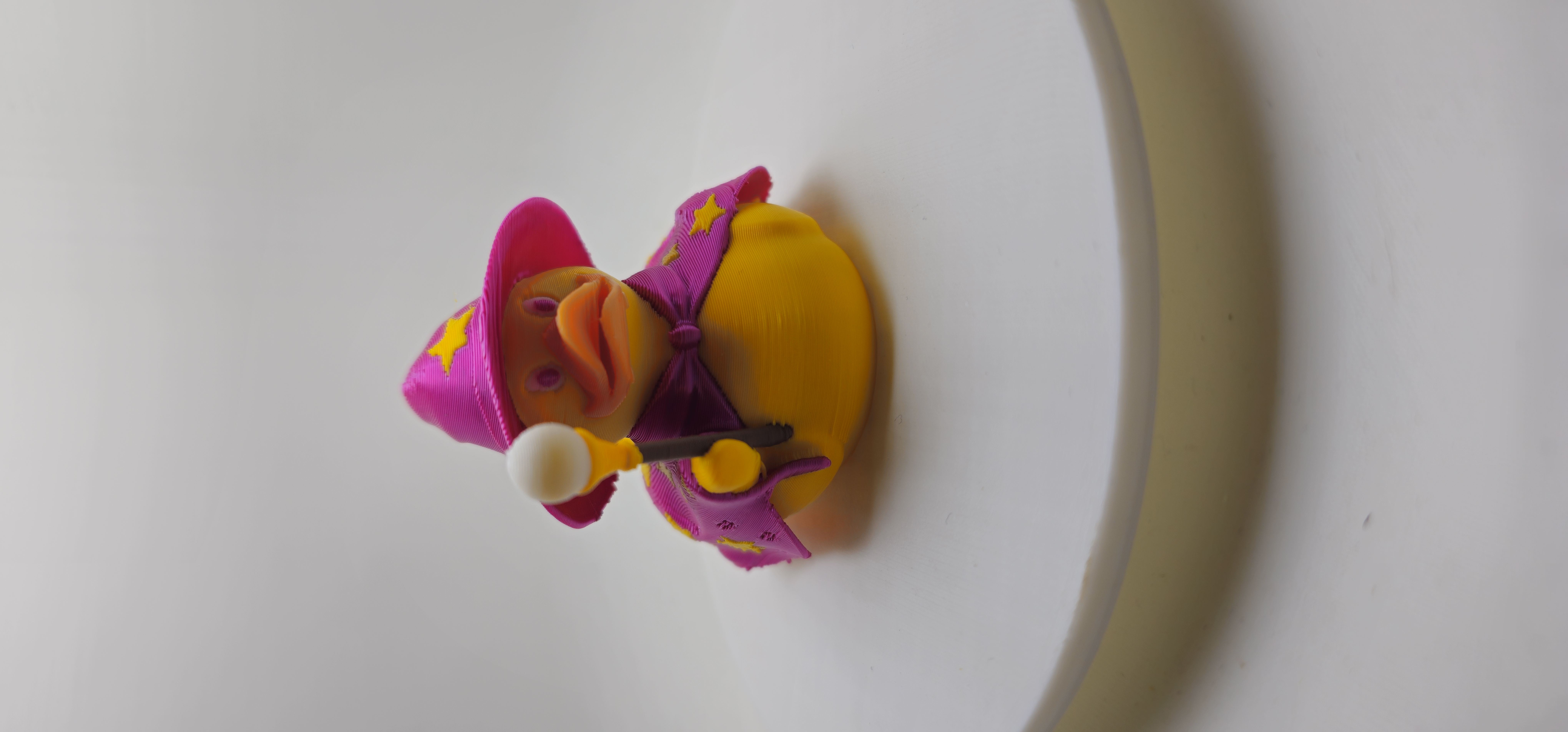 Wizard Duck 3d model