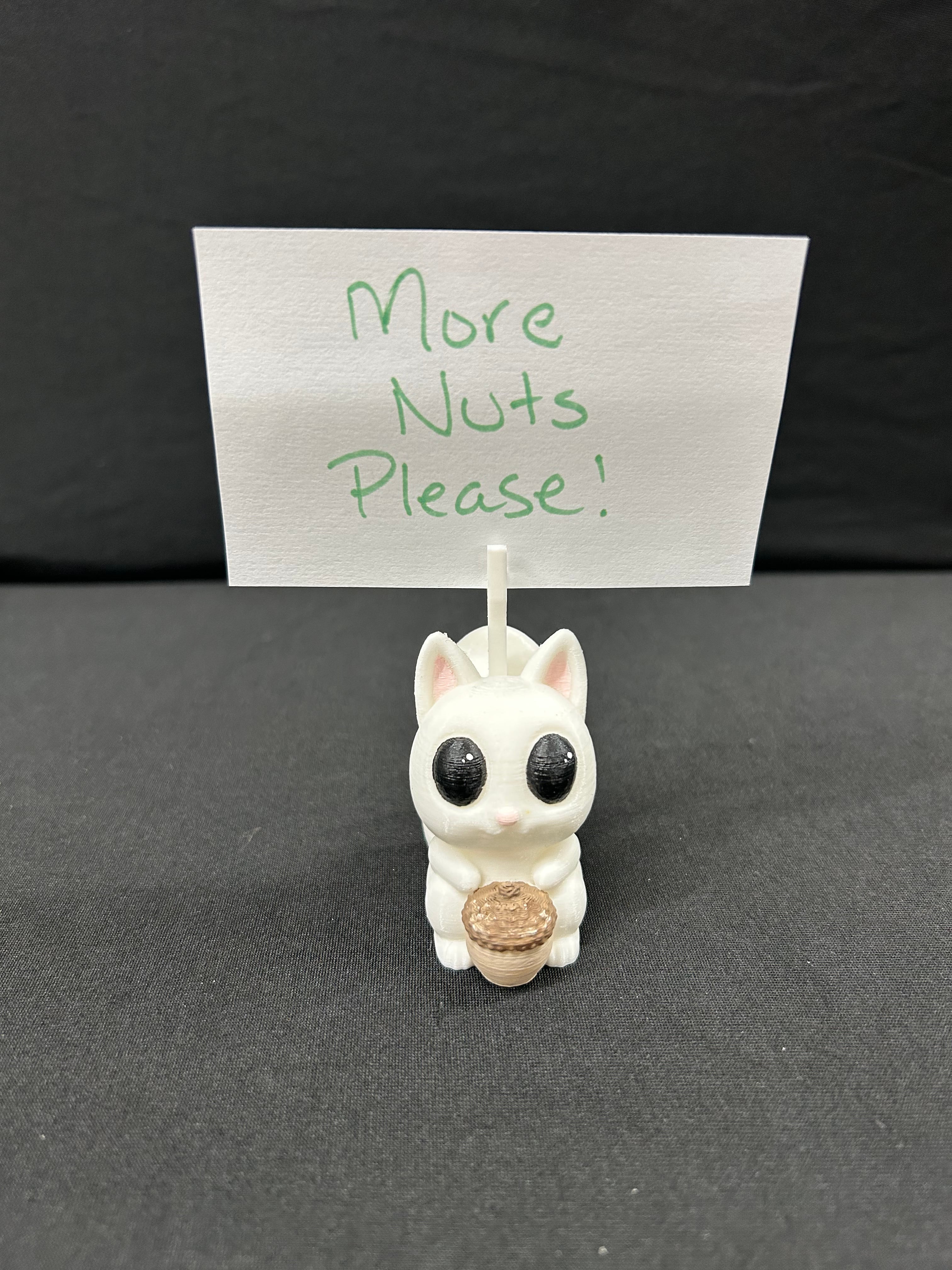 Squirrel Note Holder 3d model