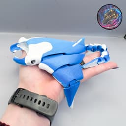 Flexi Manta Ray 3d model