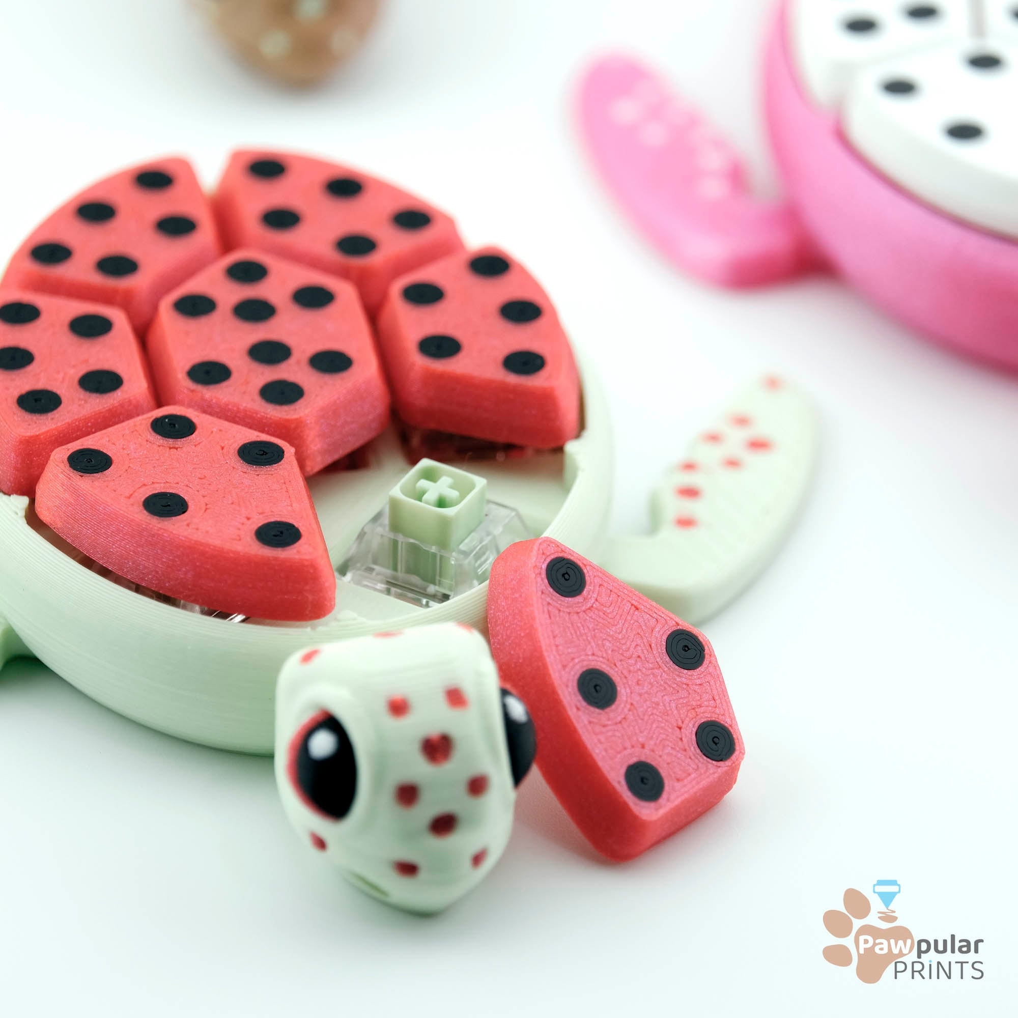 Fruit Turtle Paint Pack 3d model