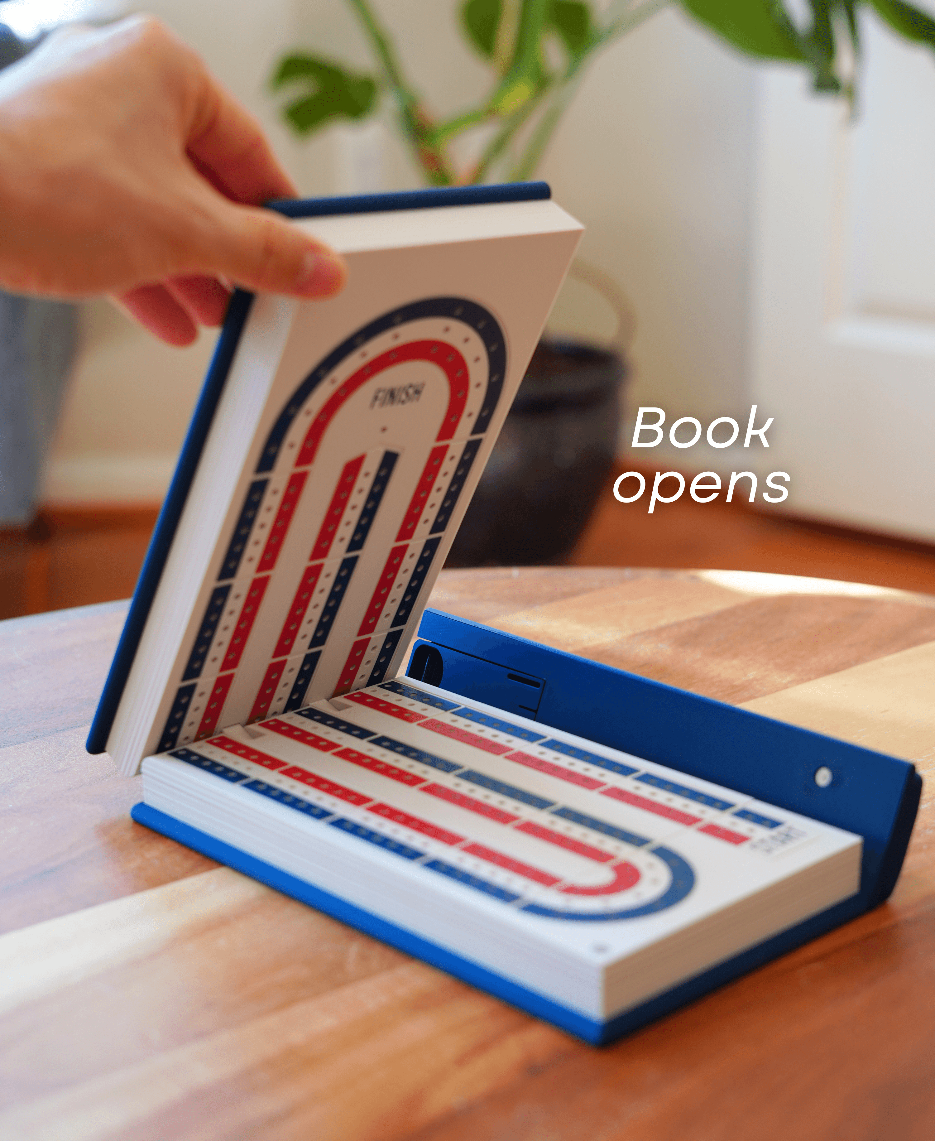 PlayBook'd Cribbage 3d model