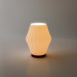 Akari Lamp 3d model