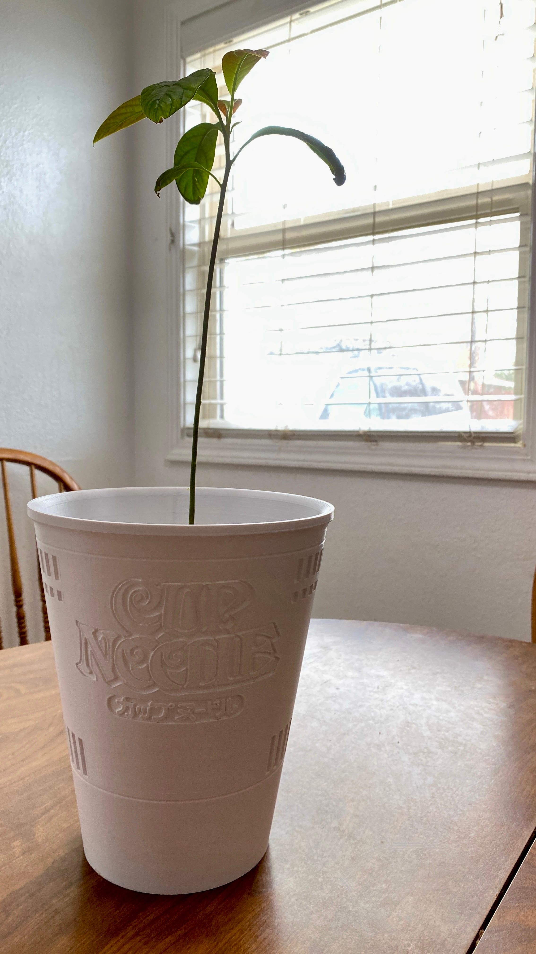 cup noodle pot - Printed at 200% at a very modified .28mm layer hight. Ender 3 V2 with Matterhacker Build PLA. Turned out better than I could have asked for! (200% is the size of a rubbish bin or large flower-pot) - 3d model