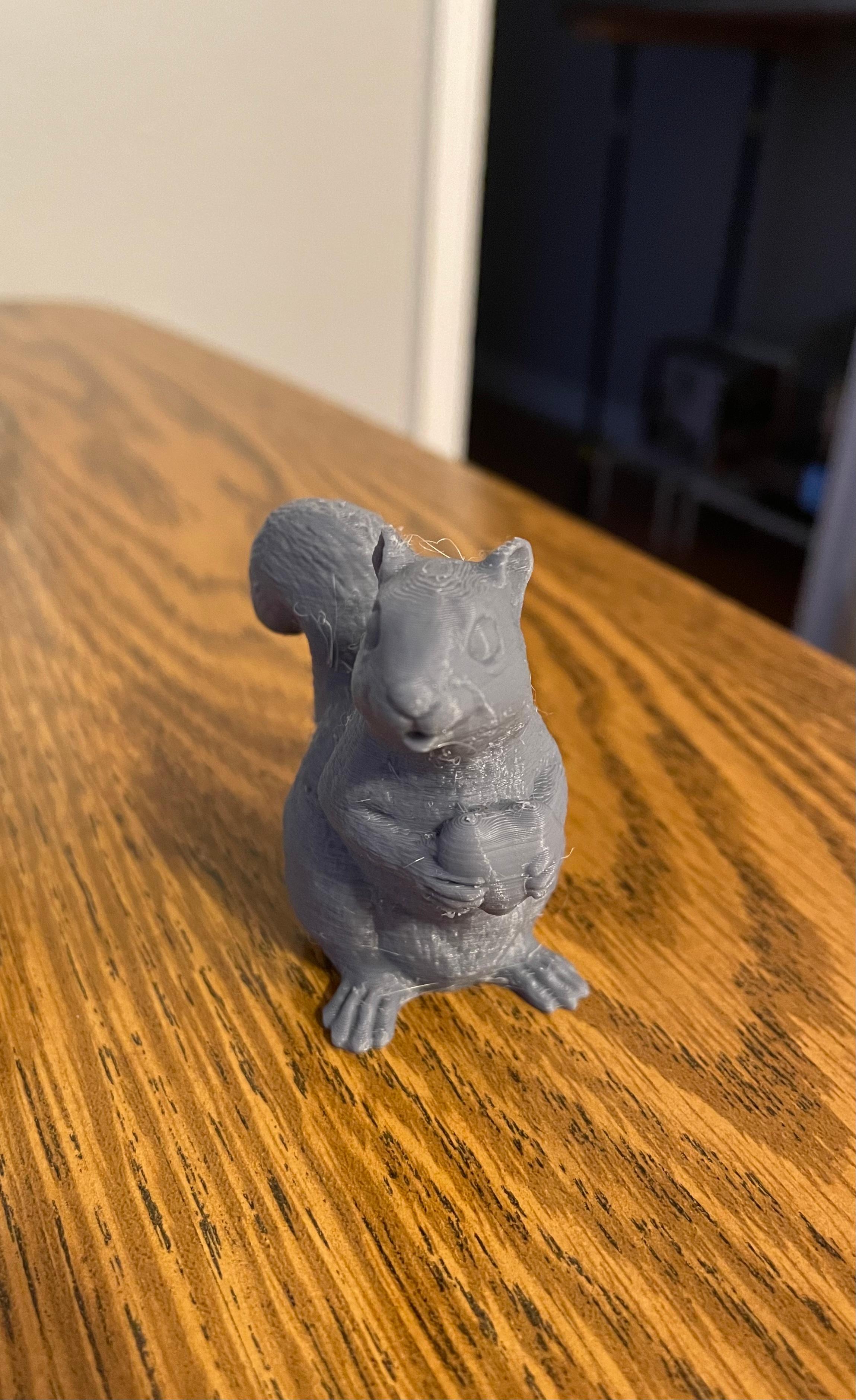 Squirell holding a Heart - Look at that cutie - 3d model