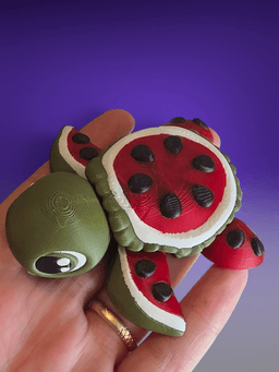 Watermelon Turtle 3d model