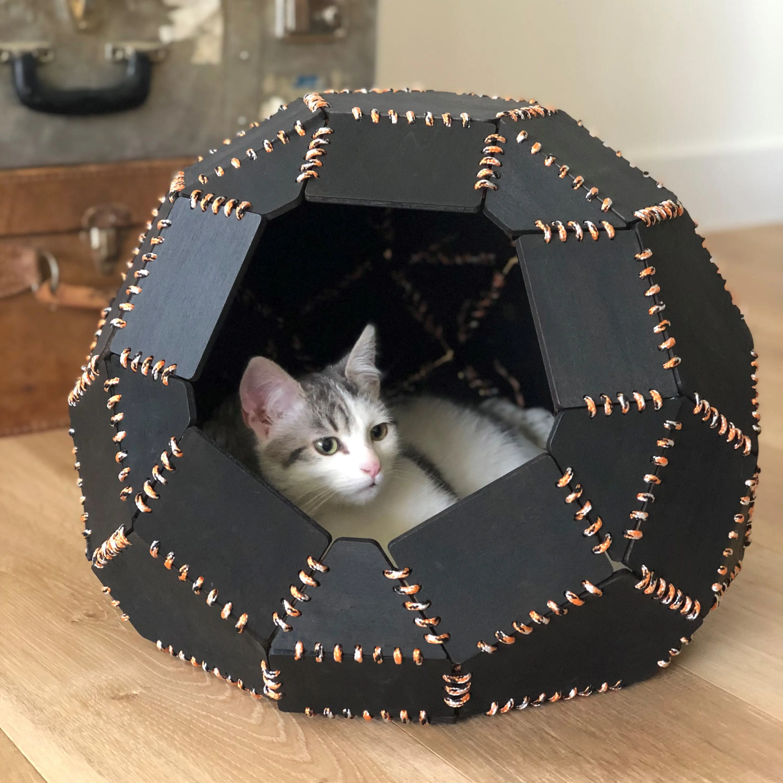 NEMO CAT HOUSE - Follow us: linktr.ee/catalpine 3d model